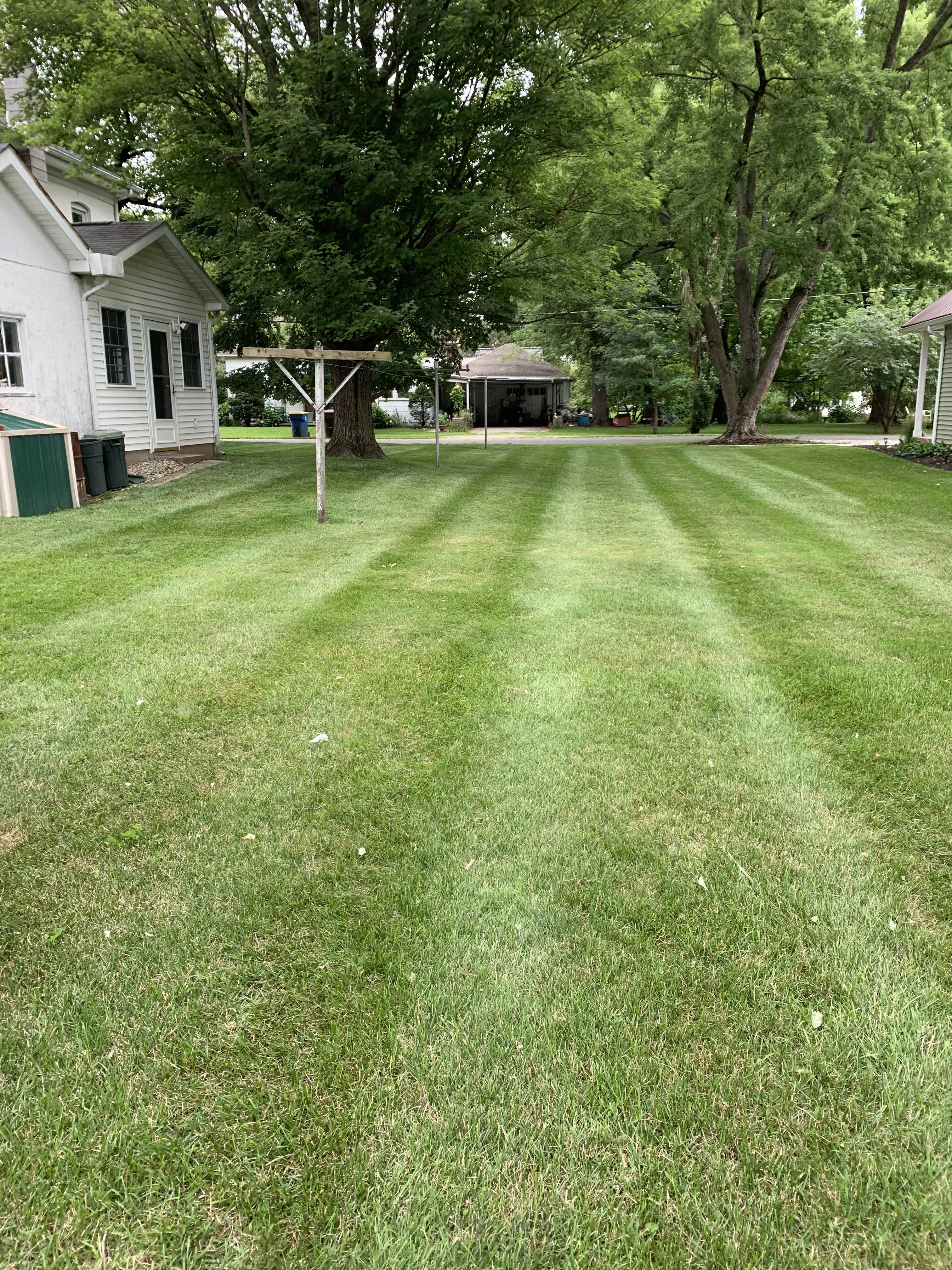 Leaf cleanup by Aura Lawn Maintenance